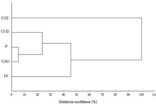 FIGURA 1 - Dendrograma de dissimilaridade dos indicadores microbiológicos,  com  base  na  distância  euclidiana,  em  diferentes  sistemas  de  cultivo  do  cafeeiro, pousio e fragmento florestal em duas épocas de coleta