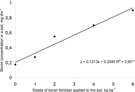 Figure 1.  Boron concentration in soils of coconut palm trees cultures after application of different dosages of boron fertilizer