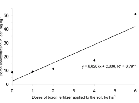 Figure 2.  Boron concentration in leaf tissue of coconut palm trees  determined after application of different boron fertilizer  dosages to the soil