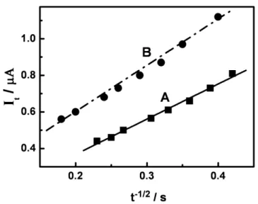 Figure 3. Plots of I t  vs. t -1/2  from chronoamperograms obtained for oxidation of 1.0 x 10 -4  mol L -1  of  the ferrocyanide (A) and doxorubicin (B) solutions in phosphate buffer pH 7.0 at a bare glassy  carbon electrode