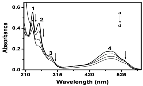 Figure 6. Absorption spectra obtained for 1.0 x 10 -4  mol L -1  of doxorubicin (a) in phosphate buffer pH  7.0 in the presence of (b) 0.5 l; (c) 1.5 l and (d) 10 l of poly-L-glutamic acid 1% (w/v)