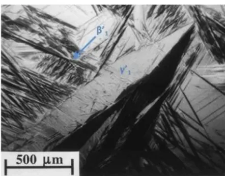 Figura 2.2.2 F ase γ’1 (branca na transversal com maclas internas) rodeada por  β’ 1  em zig-zag [16]