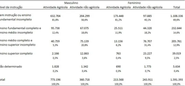 TABELA 12- Níveis de instrução da PEA rural restrita e ocupada. Classificação por gênero  e por tipo de atividade (2010) 