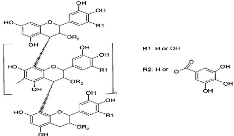 Figura 9 - Estrutura química das proantocianidinas (Sauchier et al, 2001). 