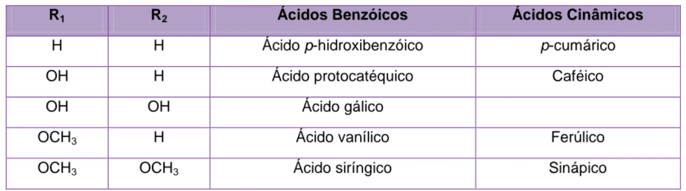 Tabela 1 - Compostos derivados do ácido hidroxibenzóico e hidroxicinâmico (Adaptado  de Huang et al., 2005)