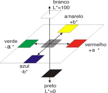 Figura 12 - Espaço de cor Hunter Lab (Mendoza et al, 2006). 