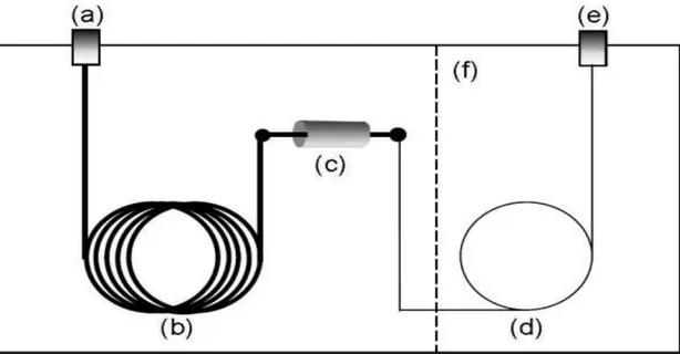 Figura 2.3 Esquema representativo da cromatografia em fase gasosa bidimensional compreensivo