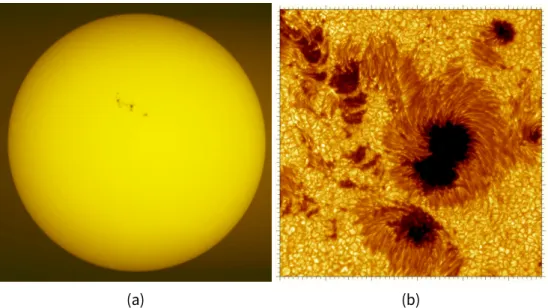 Figura 2.1: Imagem do disco solar a partir do instrumento Michelson Doppler Imager (MDI) da SOHO (Solar and Heliospheric Observatory) (a), e de grupos de manchas solares (b)