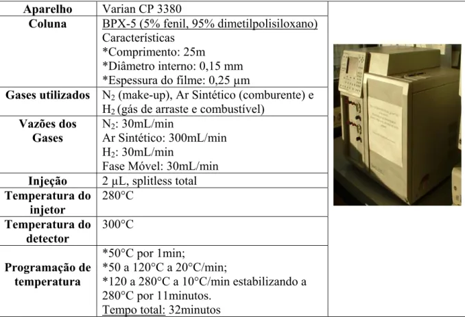 Tabela 4.3: Condições de análise dos PE por cromatrografia gasosa 
