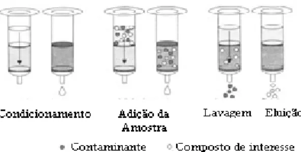 Figura 3.2 Etapas de EFS para isolamento de compostos de interesse (Lanças 2004a) Atualmente um grande número de cartuchos de EFS está disponível de modo que possa ser utilizado por uma grande faixa de aplicações