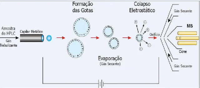 Figura 3.4 Esquema de nebulização de fonte por Electrospray Fonte: Bustillos, 2006, apudi em Moracci 2008.