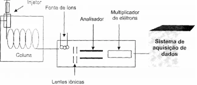 Figura 3.39 Esquema geral de cromatógrafo a gás acoplado a espectrometria de massas