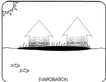Ilustração 10 – Representação esquemática do processo de evaporação [Fonte: Azevedo,  2010] 