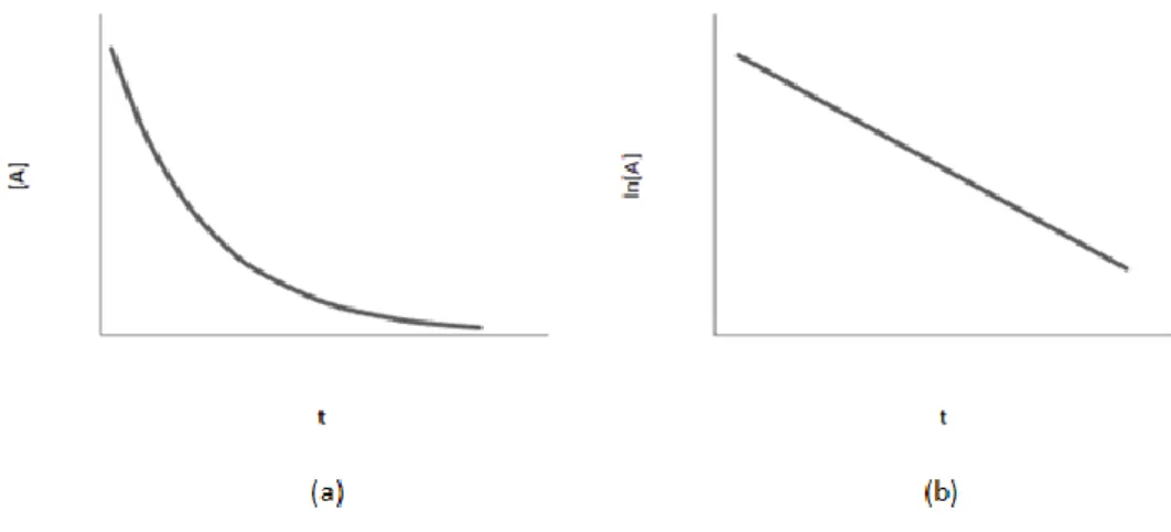 Figura  1: Comportamentos  característicos  de  uma  reação  de  primeira ordem:  (a)  diminuição  da concentração de reagente com o tempo; (b) utilização da representação gráfica da relação  linear de ln[A] em função do tempo