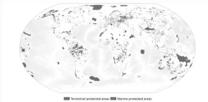 Figura 1  –  Distribuição espacial das áreas protegidas no Mundo.  