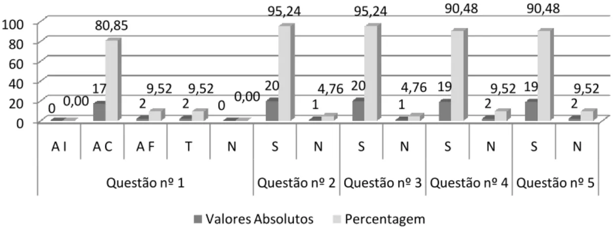 Ilustração 14 - Gráfico relativo aos resultados obtidos na amostra da turma 5 