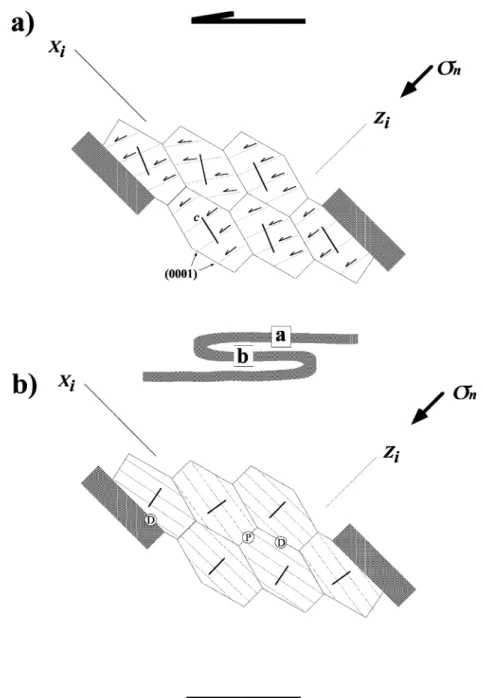 Fig. 5. (a) Sketch illustrating the suitability to basal hai glide in grain aggregates of normal limbs
