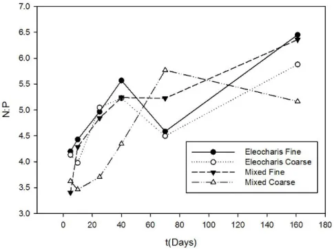 Figura 10 - Razão nitrogênio/fósforo nas amostras das diferentes misturas e tratamentos em cada momento  durante a decomposição de macrófitas na Lagoa dos Coutos - MG