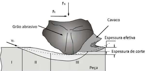 Figura 3 - Forma