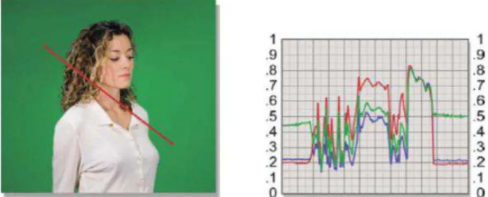 Figura 2 - Imagem com fundo verde e gráfico representando a intensidade das cores através da  marcação vermelha na imagem 