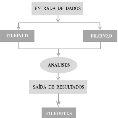 Figura 3.8 – Entrada de dados e saída de resultados do CS-ASA   (Adaptado de Silva, 2009) 