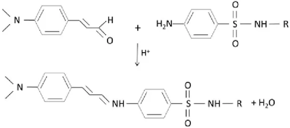 Figure 2.3: Schematic representation of DMACA and SAs reaction in acidic medium [3].