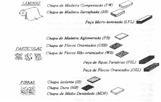 Figura 1: Classificação dos produtos à base de madeira.  Fonte: GONÇALVES (2000). 