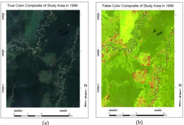 Figure 3.2 Landsat TM Composite of study area in 1996: (a) Composite of band 3, 2, 1 and  (b) Composite of band 5, 4, 3 