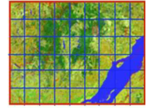 Figure 8 : Regularly tiled rectangular raster coverage 
