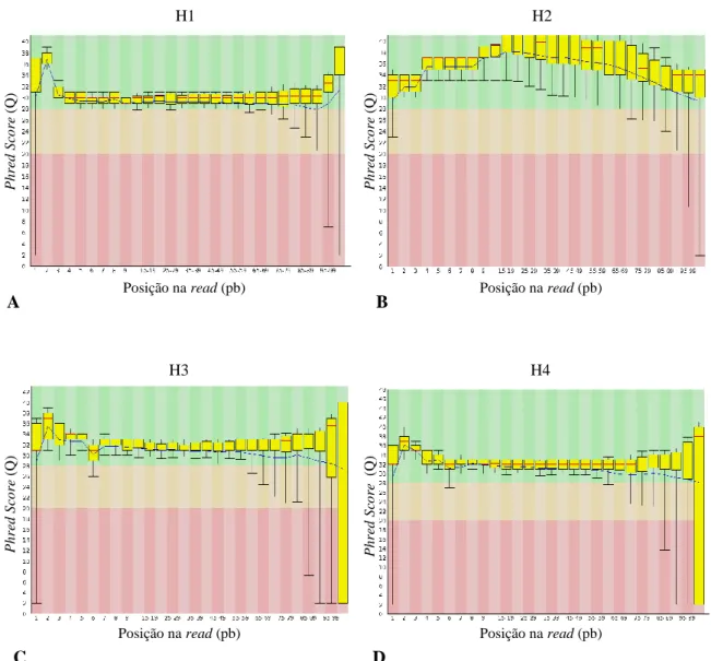 Figura 6: Análise dos valores de qualidade por base em cada posição das reads para o genoma H1  (A), o genoma H2 (B), o genoma H3 (C) e o genoma H4 (D), através da aplicação FastQC