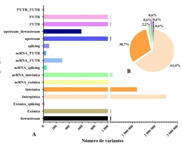 Figura  12:  Distribuição  dos  SNPs  pelas  regiões  genómicas  do  genoma  H1  (A)  e  valores  percentuais respetivos das regiões com maior abundância de SNPs (B)