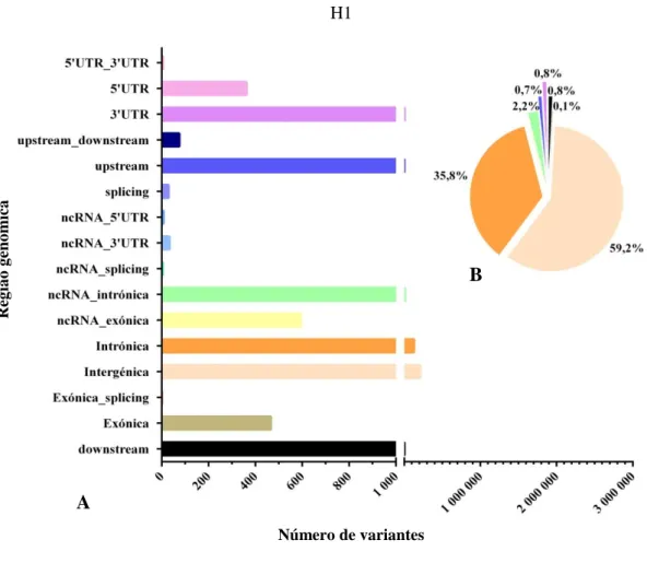 Figura  13:  Distribuição  dos  INDELs  pelas  regiões  genómicas  do  genoma  H1  (A)  e  valores  percentuais respetivos das regiões com maior abundância de INDELs (B)