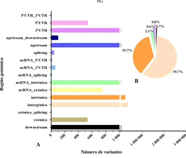 Figura  15:  Distribuição  dos  INDELs  pelas  regiões  genómicas  do  genoma  H2  (A)  e  valores  percentuais respetivos das regiões com maior abundância de INDELs (B)