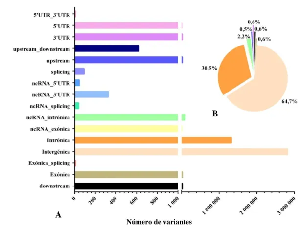 Figura  16:  Distribuição  dos  SNPs  pelas  regiões  genómicas  do  genoma  H3  (A)  e  valores  percentuais respetivos das regiões com maior abundância de SNPs (B)