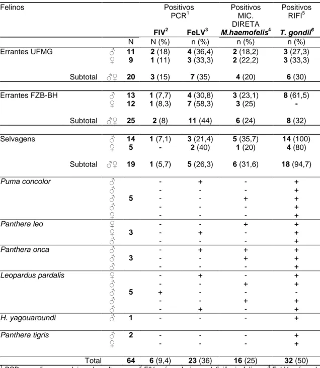 Tabela 1- Ocorrência de FIV, FeLV, Mycoplasma haemofelis e Toxoplasma gondii em gatos  errantes do campus da UFMG 7  e FZB-BH 8  e felinos selvagens da FZB-BH