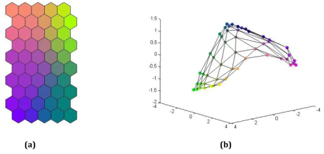 Figure 4 – Combining SOM with other projections through colour 