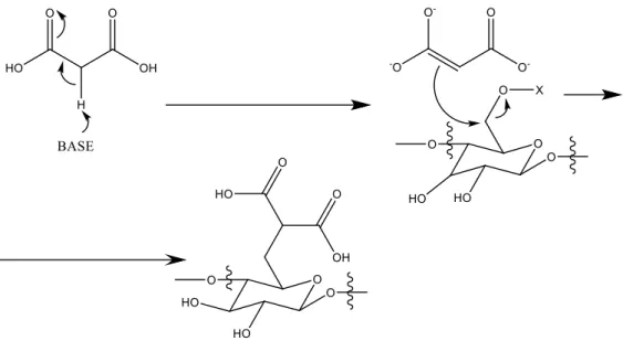 Figura 10 - Proposta para a síntese de um polímero alternativo ao DCMC 