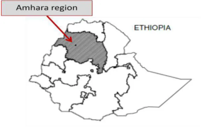 Figure 2. Map of regions in Ethiopia. 