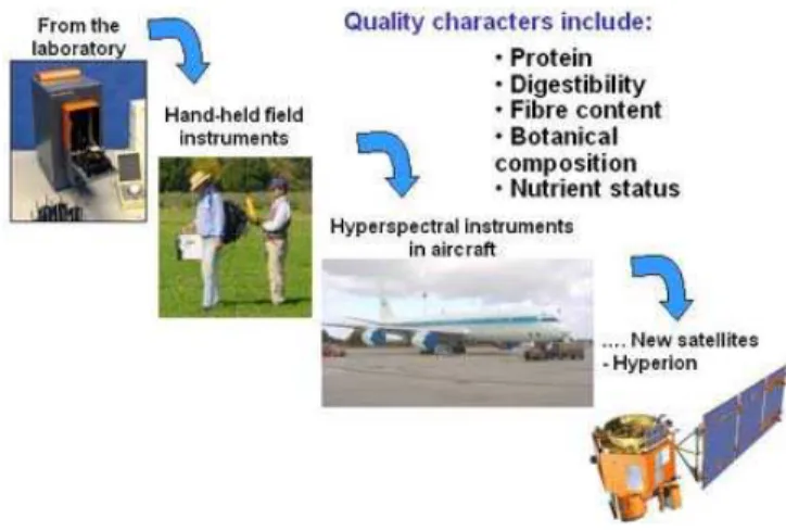 Figura 23 ‐ Avaliação da praticabilidade da medição da qualidade da forragem a partir da detecção remota  (PASTURES FROM SPACE, 2003)  