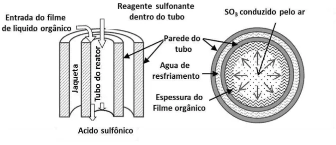 Figura 11. Detalhe do tubo de um reator de filme descendente 