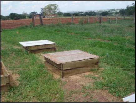 Figura 3. Caixas de madeira cobertas com telhas de amianto  para produção de composto orgânico