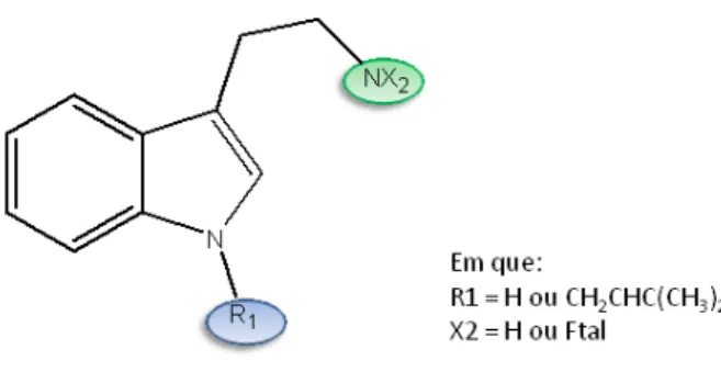 Figura 14 – Família de compostos preparados derivados da triptamina. 