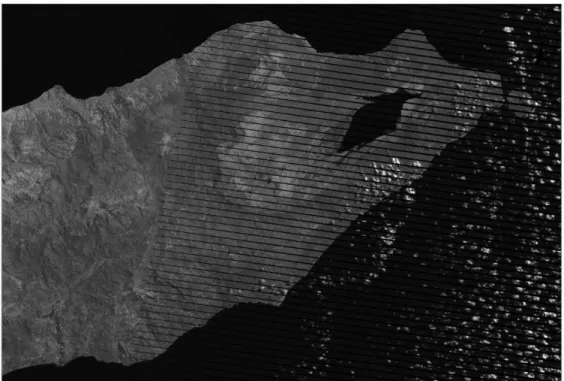 Figure 4.1.2. Landsat ETM+ 2010 band 5 used for filling the gaps in 2011 image 