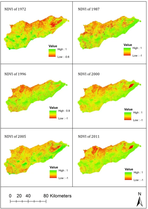 Figure 5.1.1. NDVI maps for all observation dates 