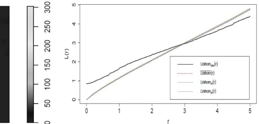 Figure 3-10 Estimation of the  inhomogeneous intensity surface