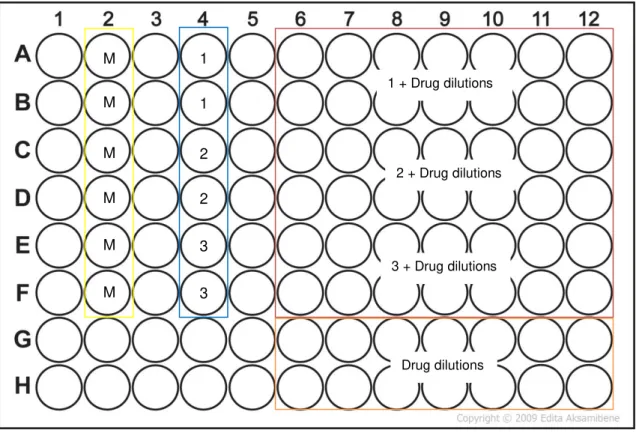 Figure 3.3 –The 96-well plate template in which column 2 had the medium (M) and column 4 the bacteria  in triplicate, 1, 2 and 3 respectively