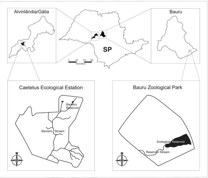 Figure 1 - Location of study area: Barreiro reservoir, Caetetus Ecological Station, Alvilândia/Gália, SP and Zoological  reservoir, Bauru City Zoological Park, SP