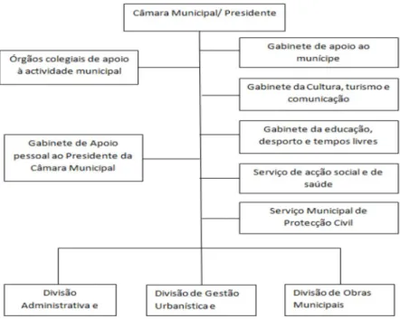 Figura 1: Organigrama CMT