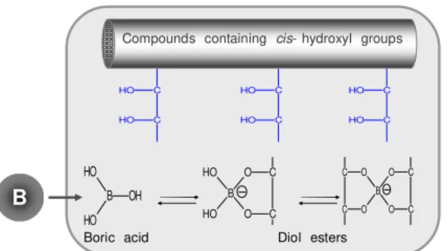 Figure  1. 1.   Esterification  reactions  of  boric  acid,  B( OH) 3   with  compounds  containing  cis- hydroxyl  groups  to  form  diol  esters