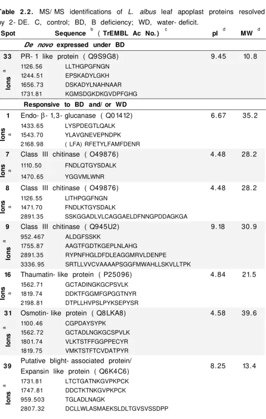 Table  2. 2.   MS/ MS  identifications  of  L.   albus  leaf  apoplast  proteins  resolved  by  2- DE